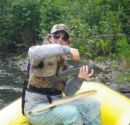 Grayling