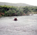 Talkeetna Alaska Fly Fishing Koktuli River Brown Bear