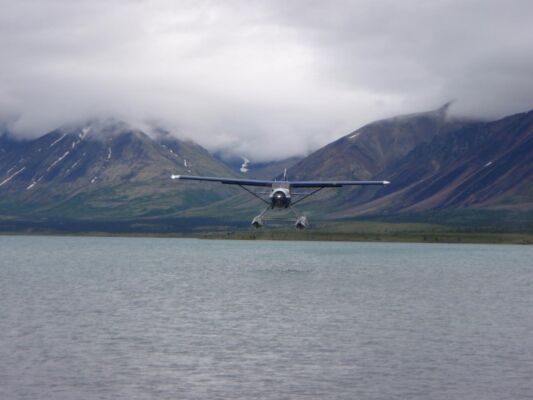 Talkeetna Alaska Fly Fishing Fly In Fishing